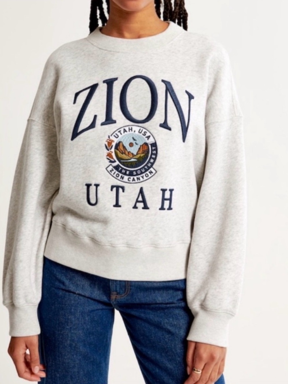 Abercrombie & Fitch Zion Utah Graphic Crewneck Pullover Sweatshirt Size Small